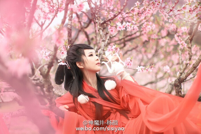 "三生三世,宁愿醉卧十里桃林忘尽前尘…… cn姊颜