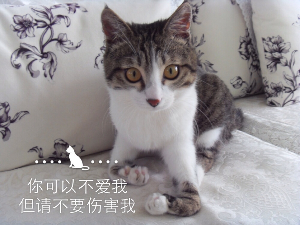 如果不爱 请不要伤害!