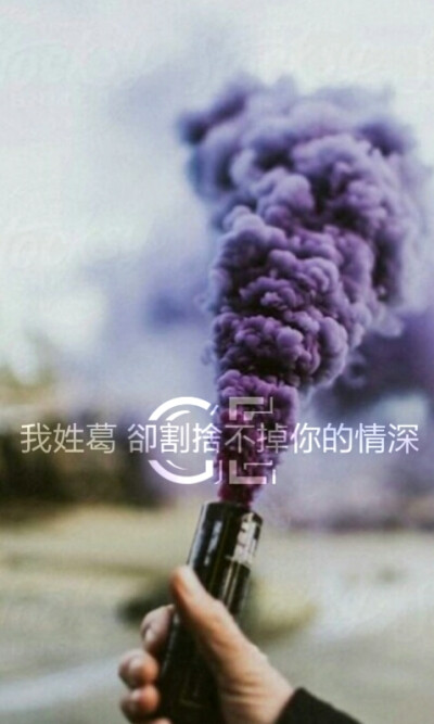 我最爱的紫色跟我的姓氏葛结合在一起