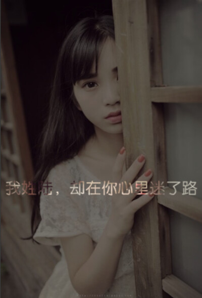 陆氏- 堆糖,美图壁纸兴趣社区