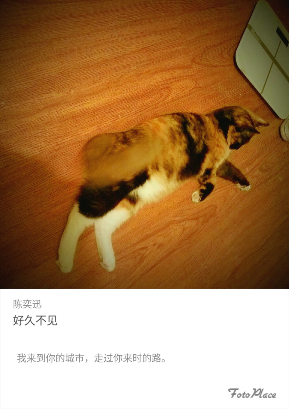 慵懒
