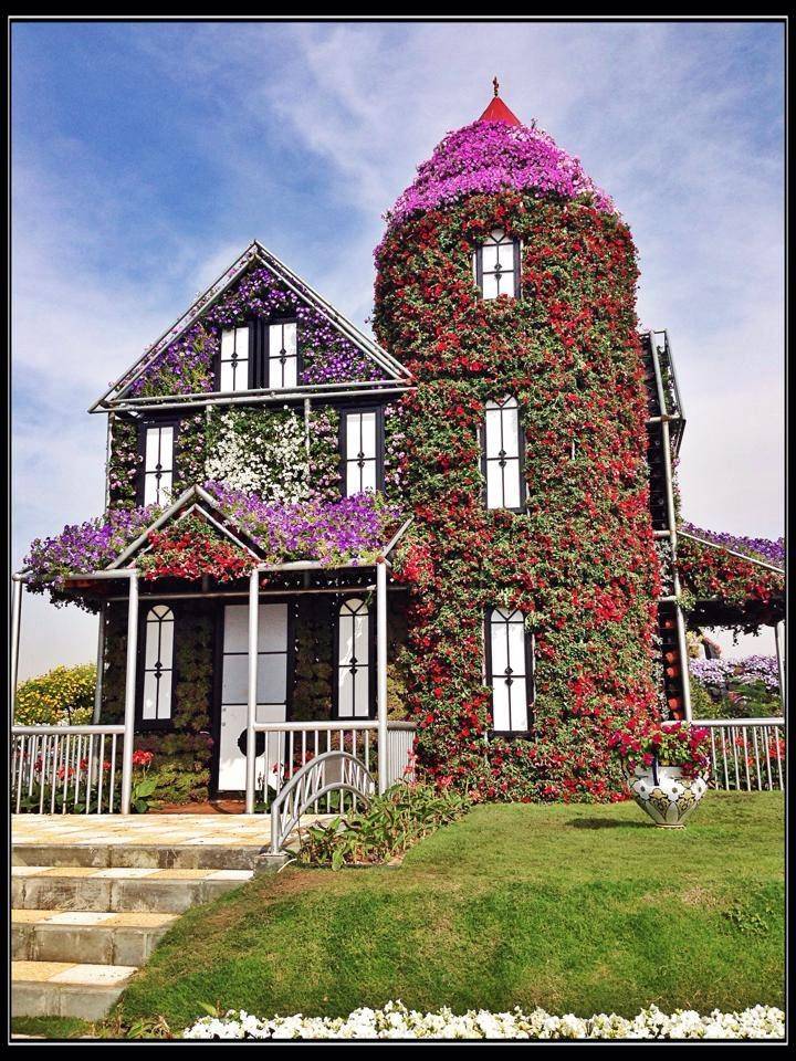 花爬满了房子