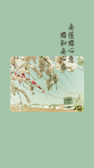 人生若只如初见. - 堆糖,美图壁纸兴趣社区