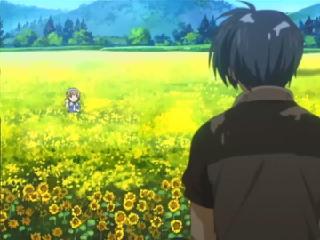 雪中智代雨中杏,树下小渚花田汐《clannad》