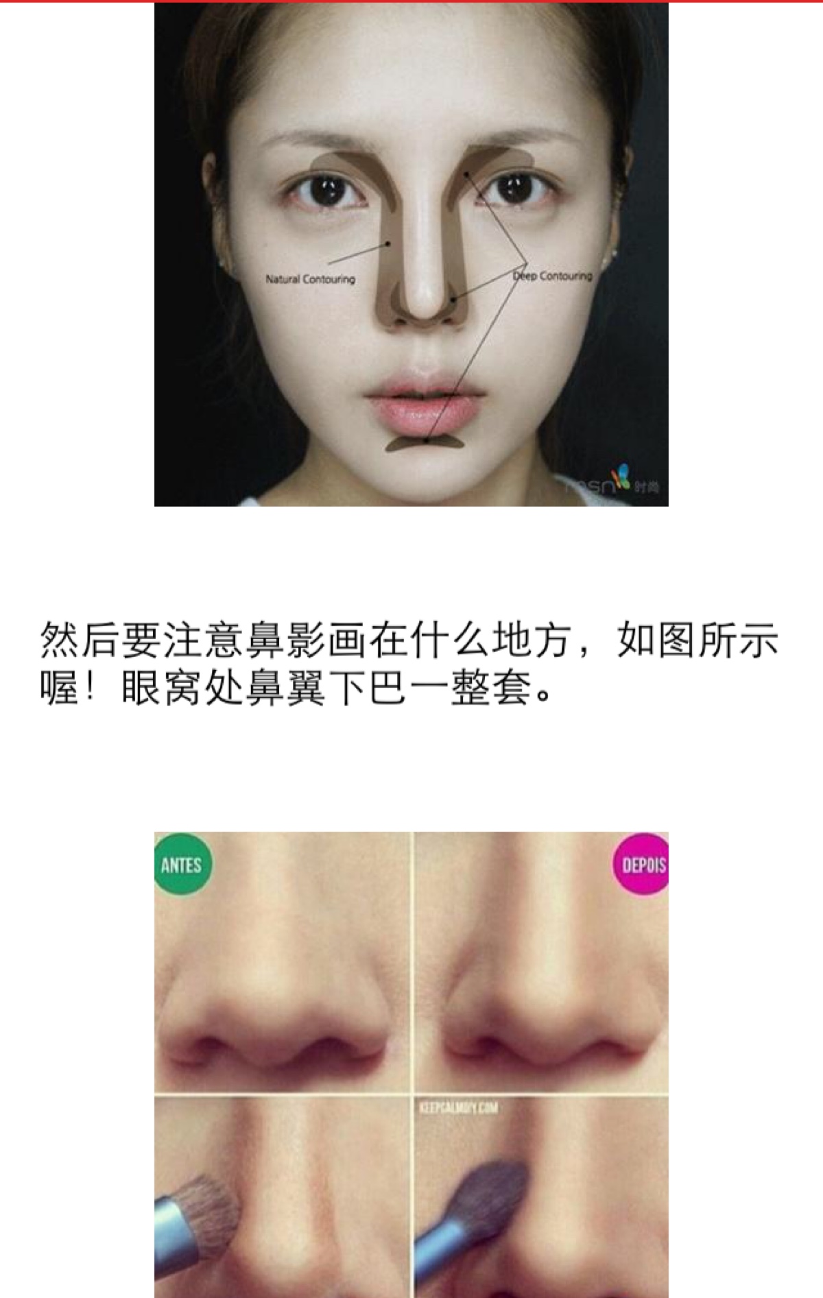 鼻影画法图解图片