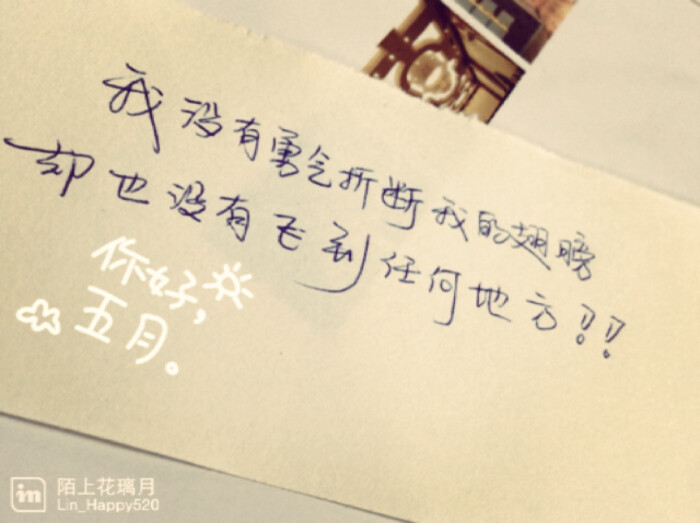 情感 治愈 成长 爱情 青春 时光 句子 伤感 回忆 情感语录 lin的手写