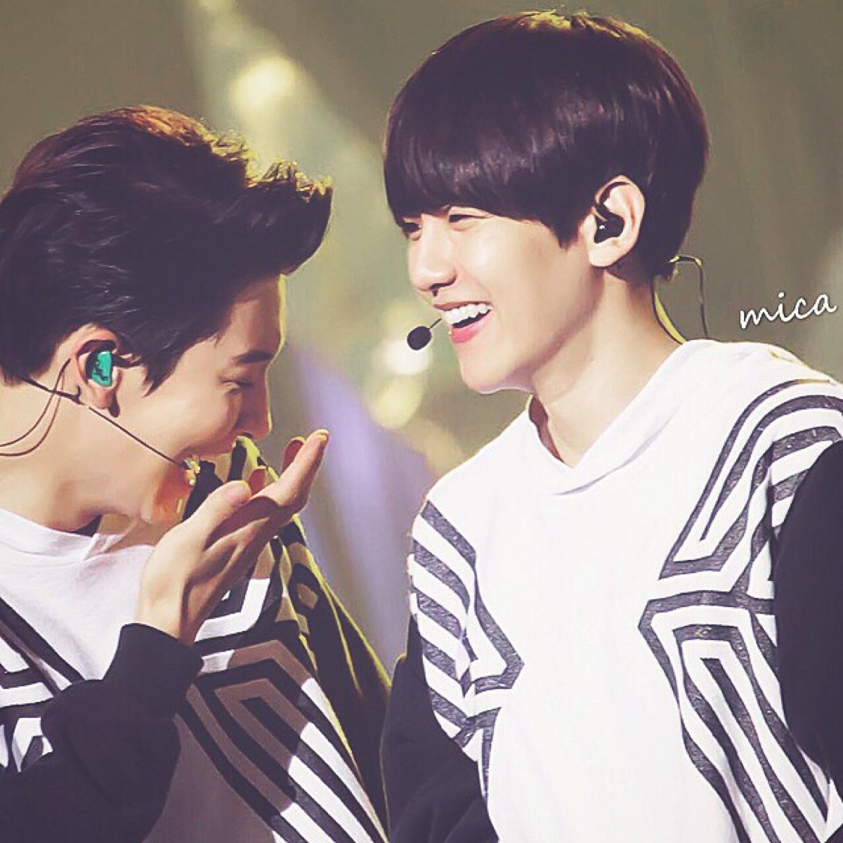 exo 朴灿烈 边伯贤