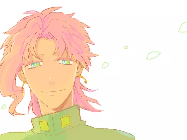 jojo 花花 花京院·典明【id=6681315