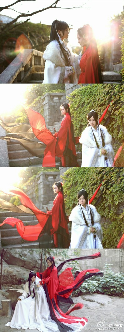听雪楼 萧忆情 舒靖容 cn魔女 兔少