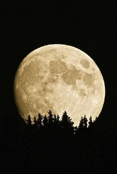 月光钴色的照片图片