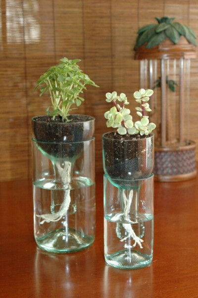 塑料瓶改装花瓶