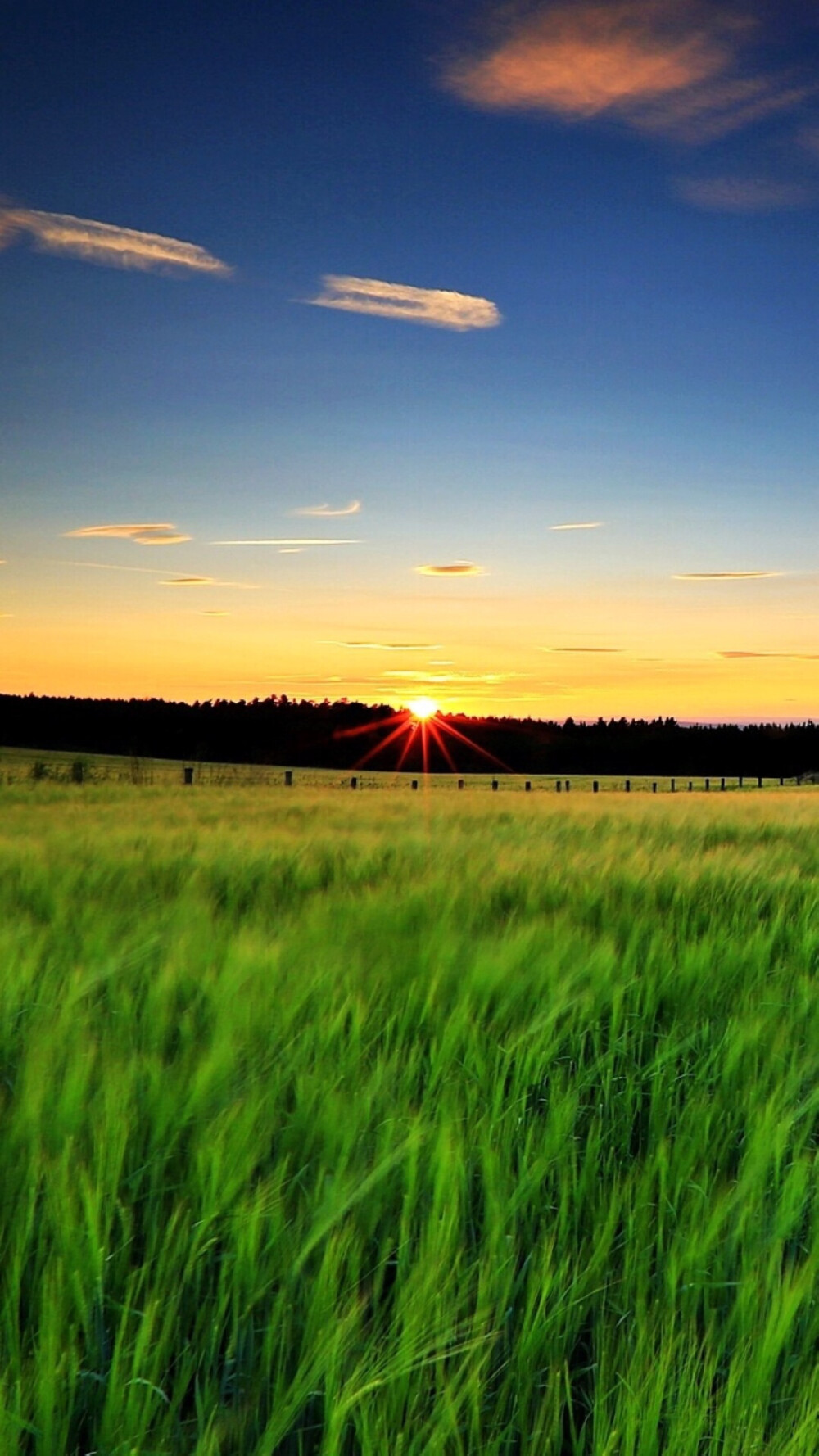 麦田#苹果6高清壁纸,iphone 6 plus高清壁纸,不是高清我不发,更多同