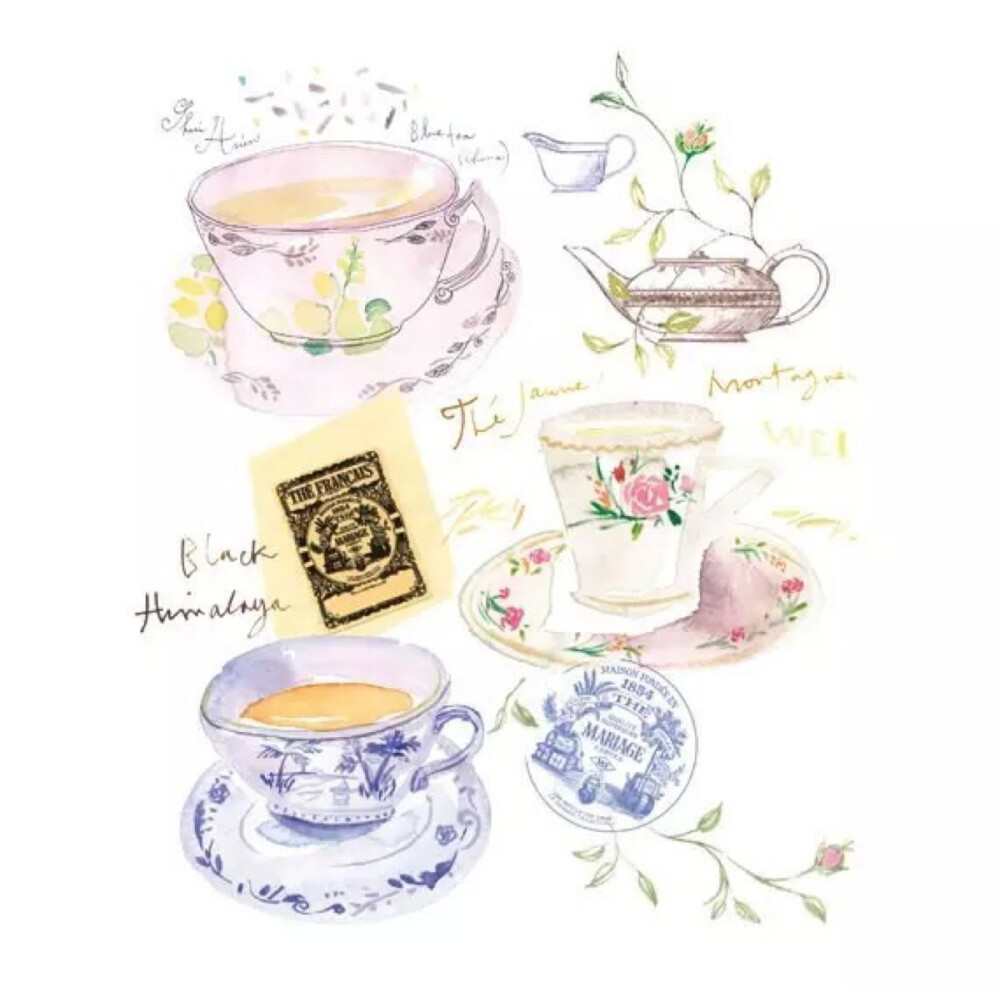 lucile kirchen 手绘水彩 清新美好 {英式下午茶}