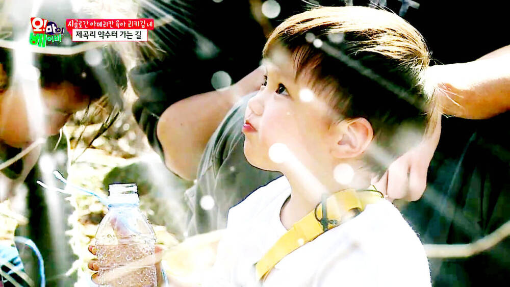 泰吴么么么哒( . )