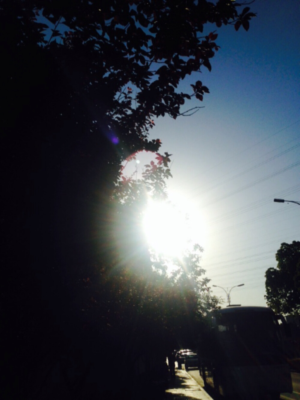 太阳