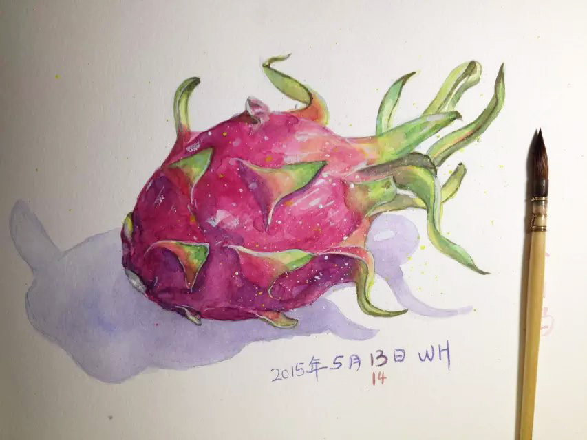 火龙果 
