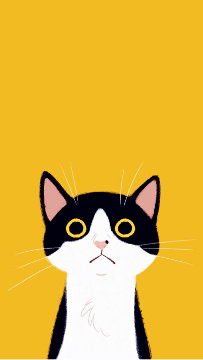 wallpaper iphone wechat 微信背景 壁纸