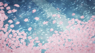 樱花动态壁纸二次元图片