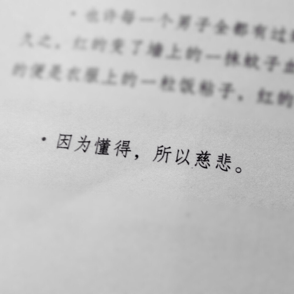 因为懂得所以慈悲