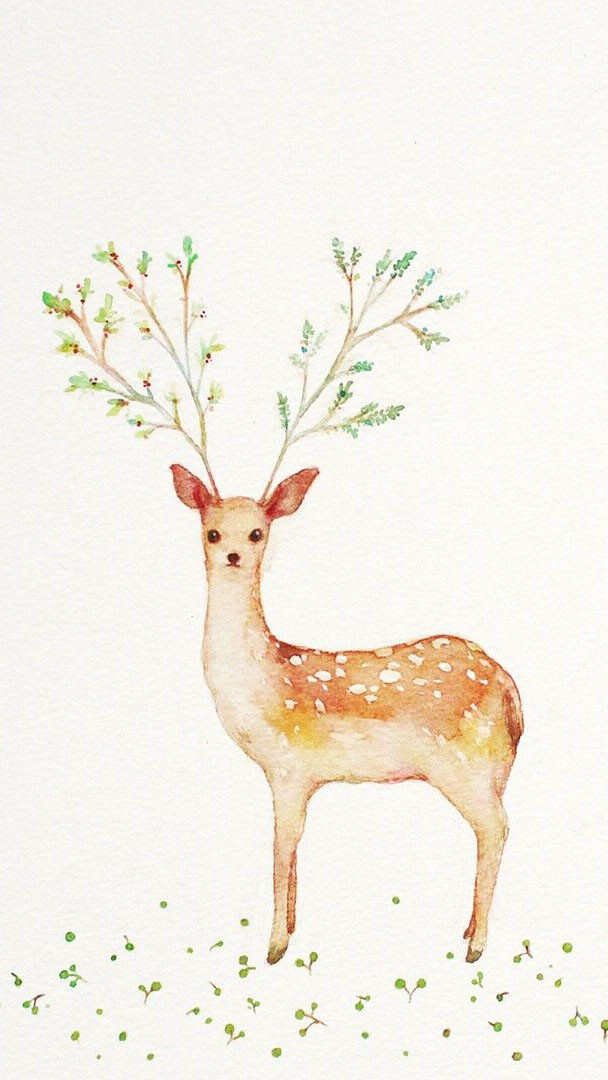 小鹿- 堆糖,美图壁纸兴趣社区