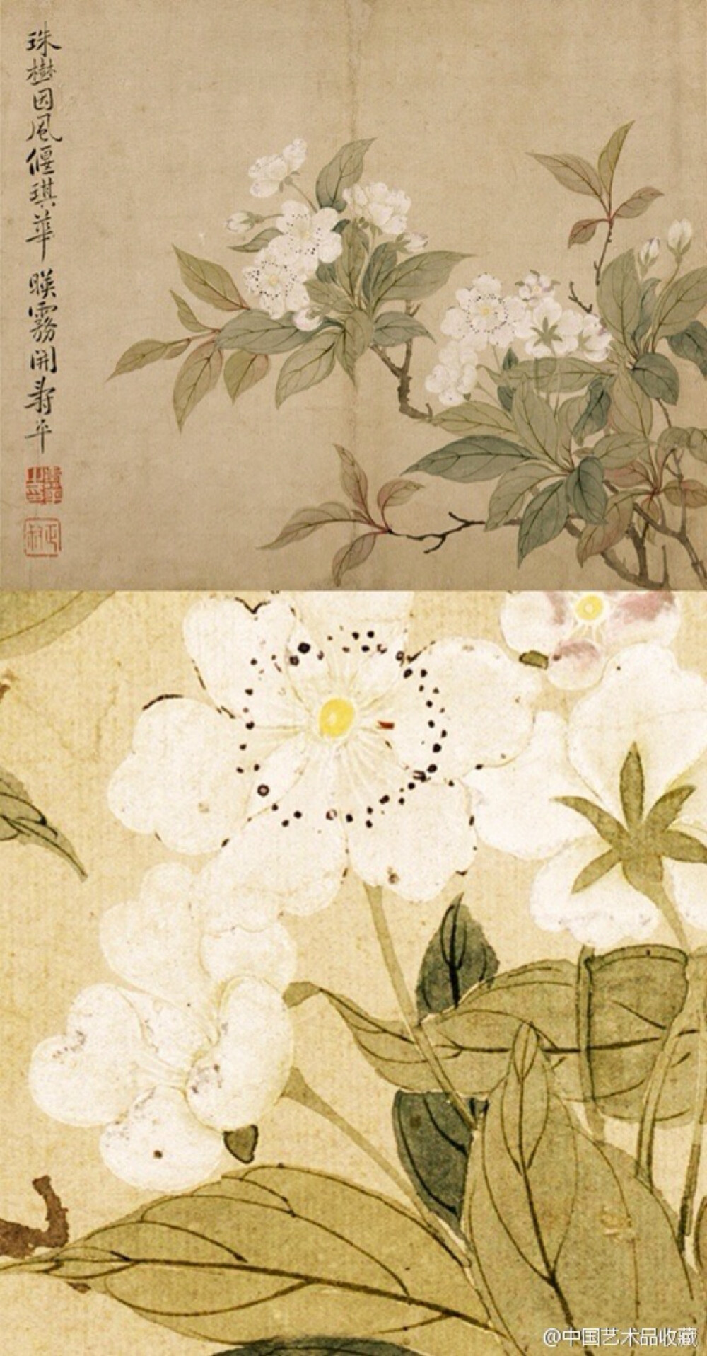 【 清 恽寿平 《花卉图册》 】册页(共六开),纸本设色,245×29