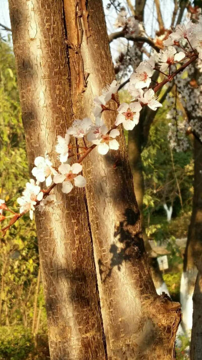 平淡的生活里,我们不一定可以找到自己最理想也最完美的爱情.