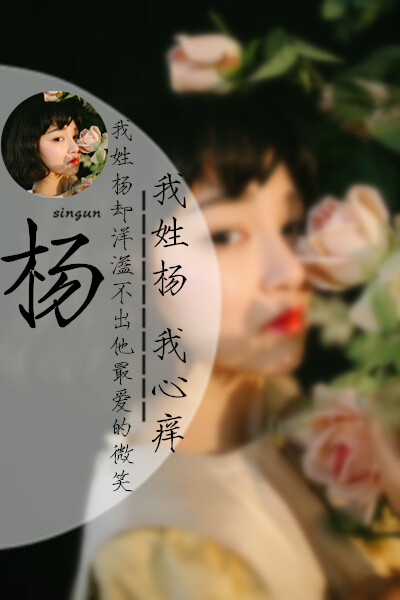 姓氏壁纸 小清新半圆图 安卓 iphone 壁纸 原创 文字 风景 平铺 清新
