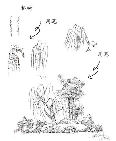 转#书画界# 二十种植物的手绘速写技法