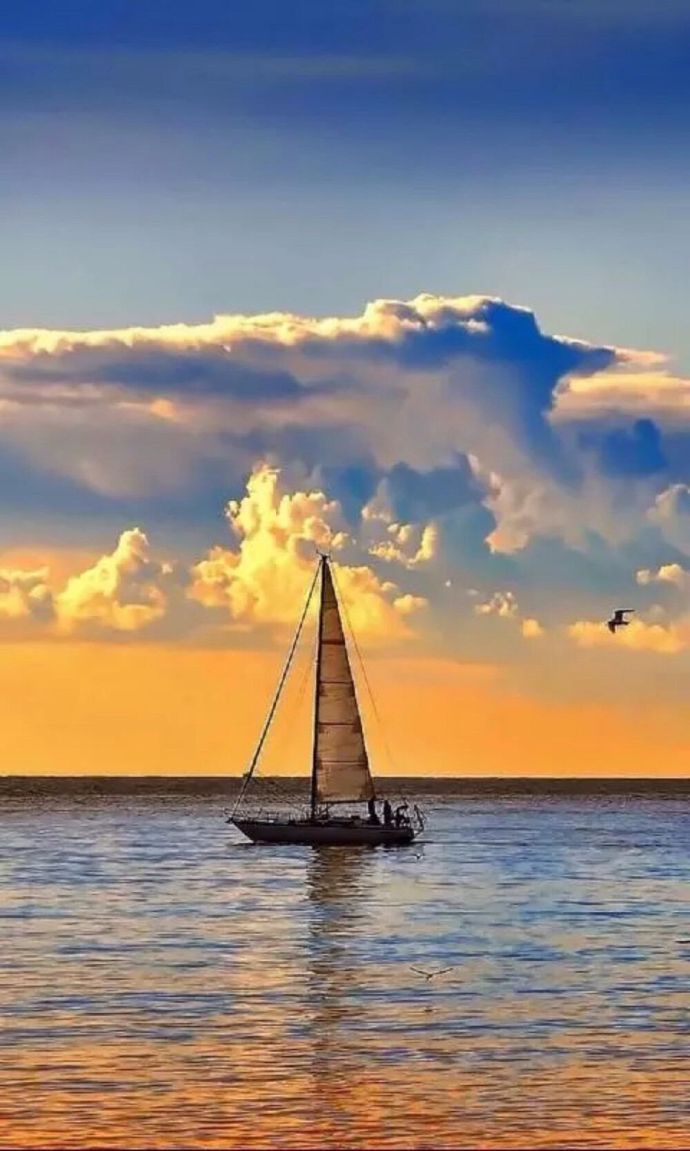 帆船起航 唯美风景 壁纸 锁屏 大海与帆船的绝妙配合