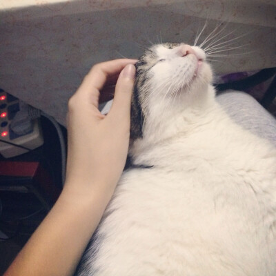 挠痒痒游戏