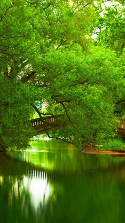 风景