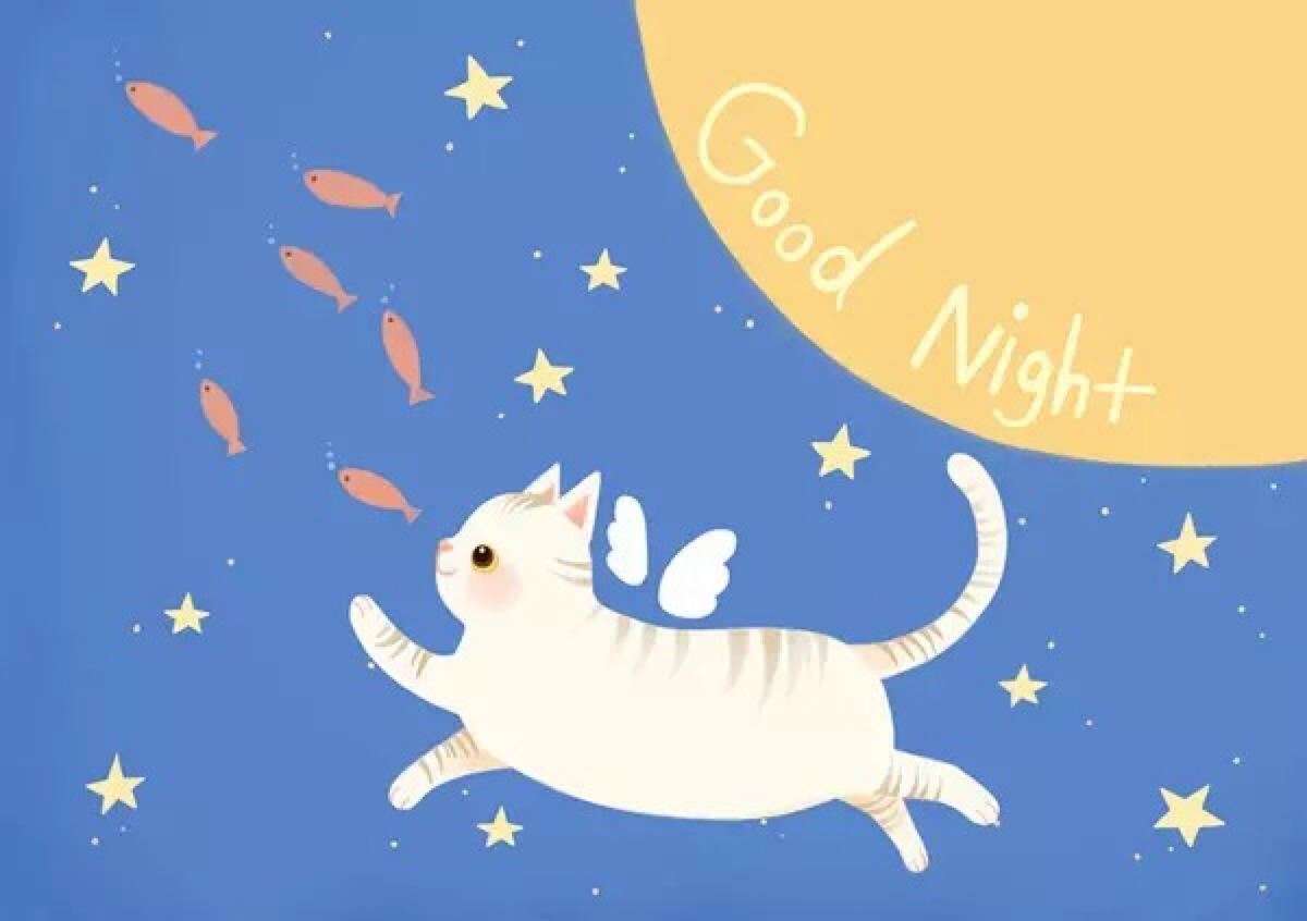 超萌的猫咪晚安系列 good night - 堆糖,美图壁纸兴趣社区