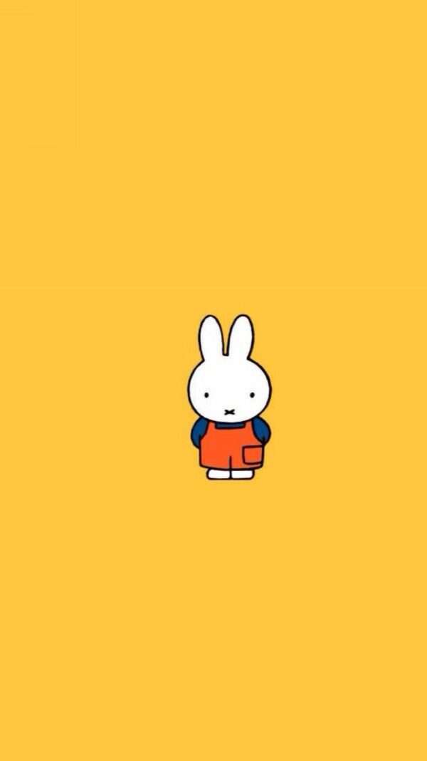 米菲兔动画片图片
