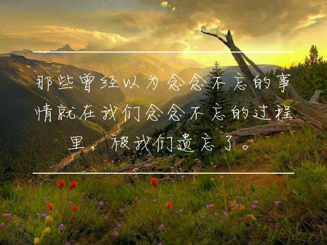 语录,文字,励志,情感,文字壁纸,壁纸,插图,风景,原创设计,手写