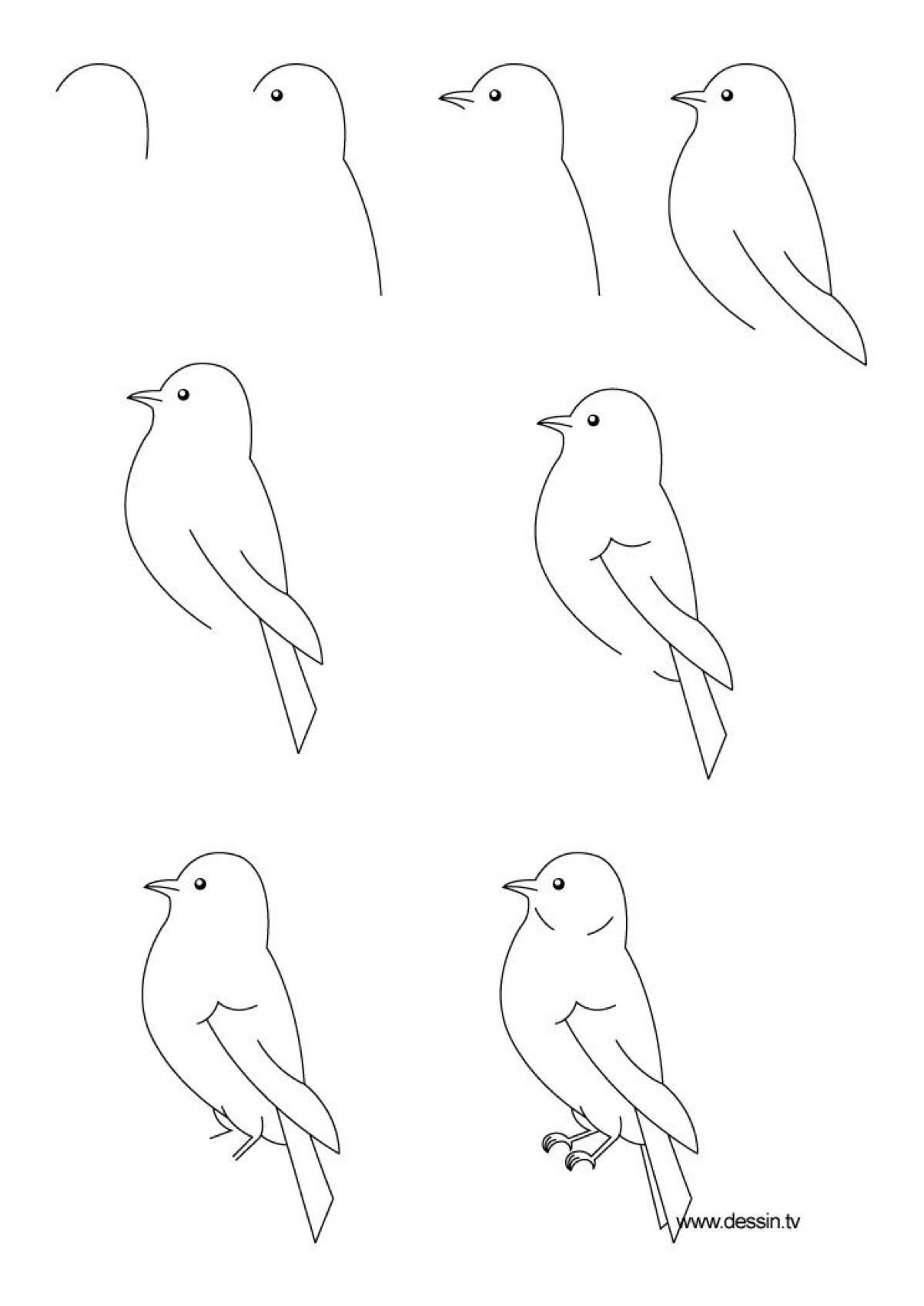 鸟的简笔画顺序图片