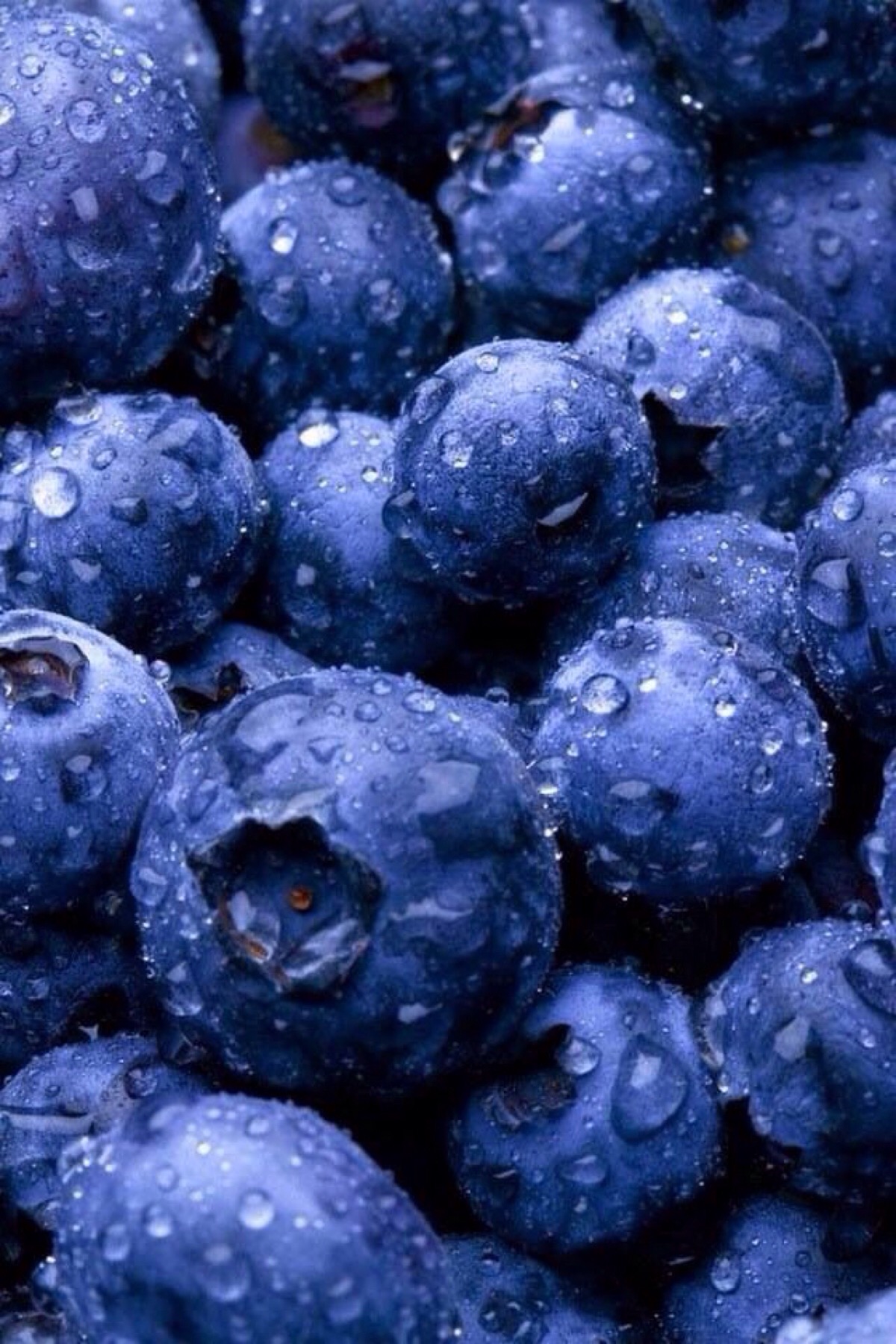 【食物文艺】蓝莓