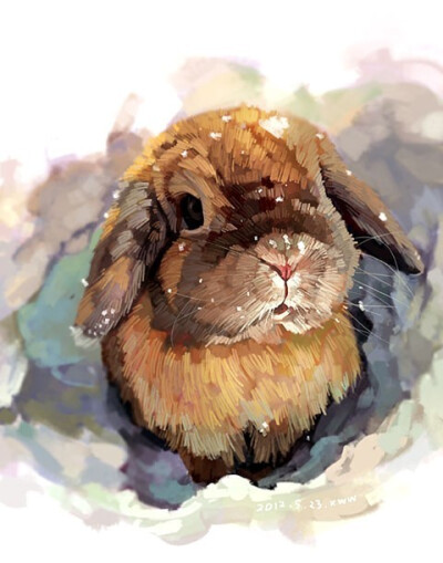 手绘水彩 插图插画涂鸦 萌物兔子 萌宠动物 可爱壁纸