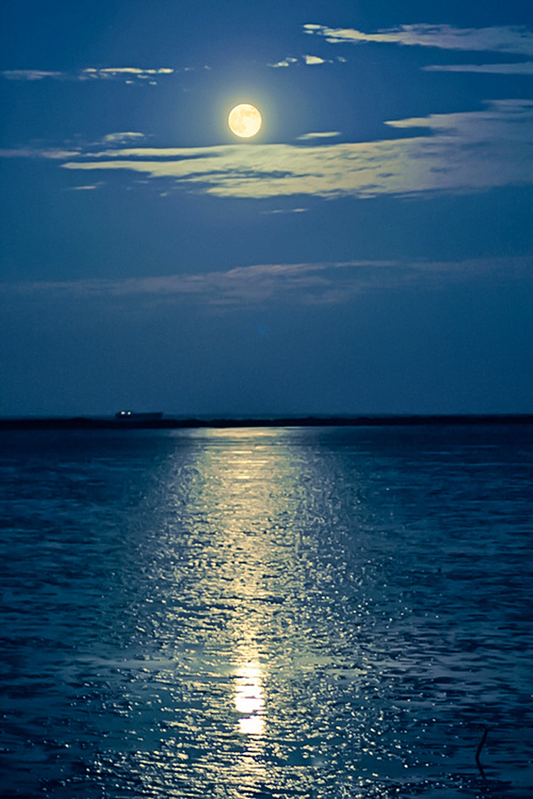 海上生明月,千里共婵娟.