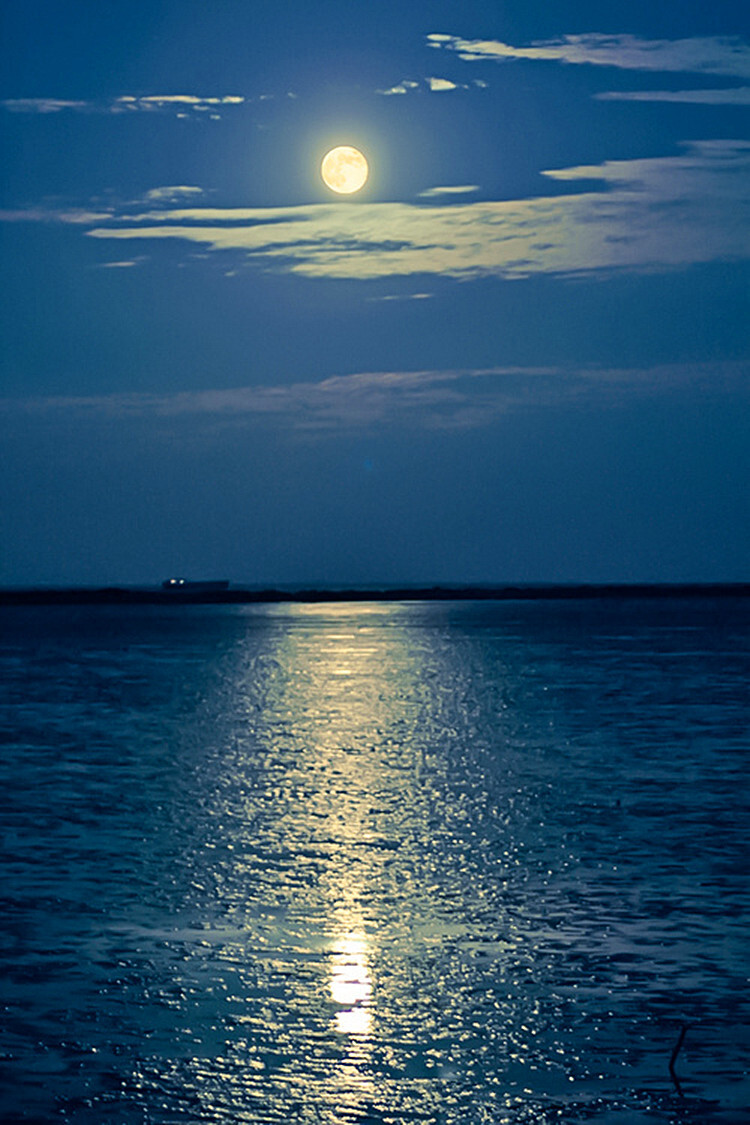 海上生明月,千里共婵娟.