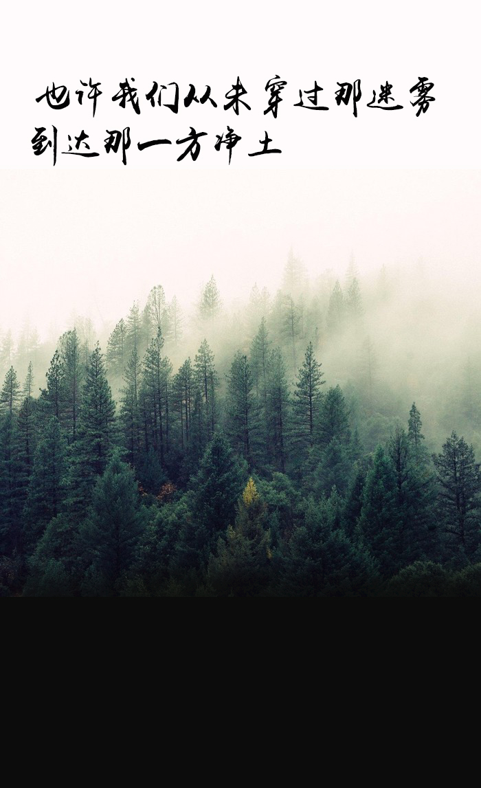 也许我们从未穿过那迷雾,到达哪一方净土——文字来自网络