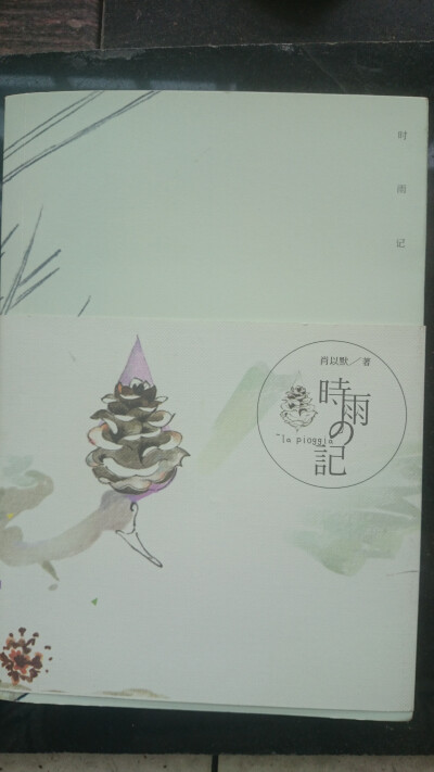 时雨记—前篇小短文的校园气息很是怀念,但是后篇不知是什么原因就