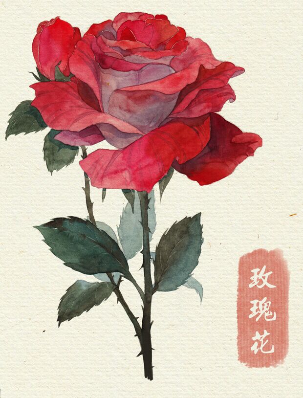 花草,水墨,封面,淡雅,唯美,插画,古风