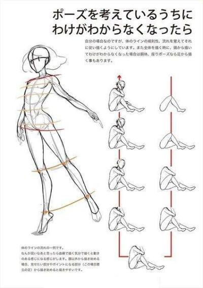 人体结构站立