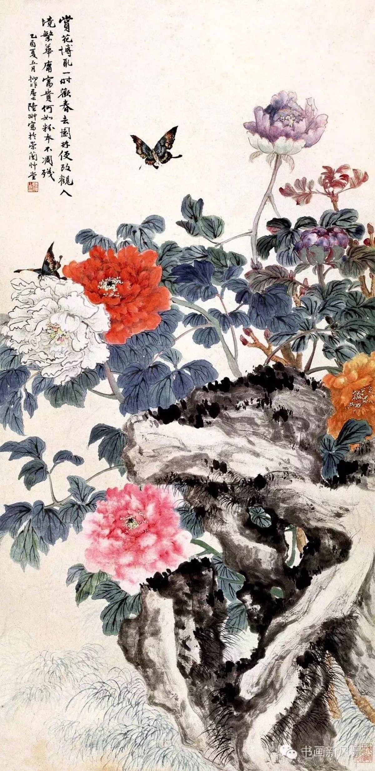 陆抑非 牡丹富贵