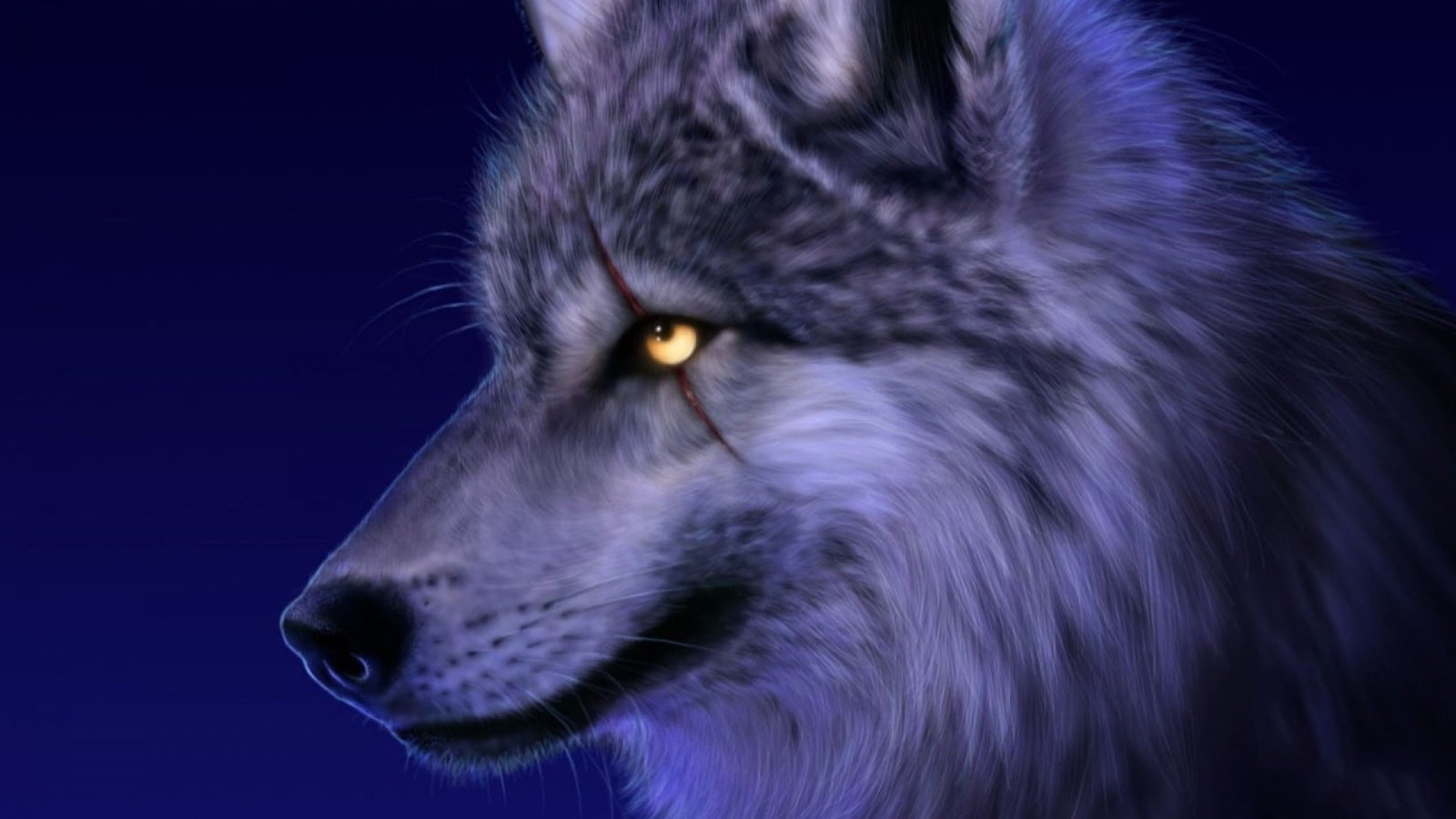 狼的眼神杀气冰冷图片