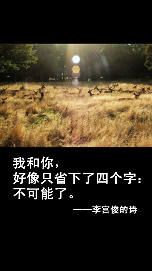 李宫俊的诗文字图片,文字美图,唯美图片,文字控头像,文字控壁纸,手机