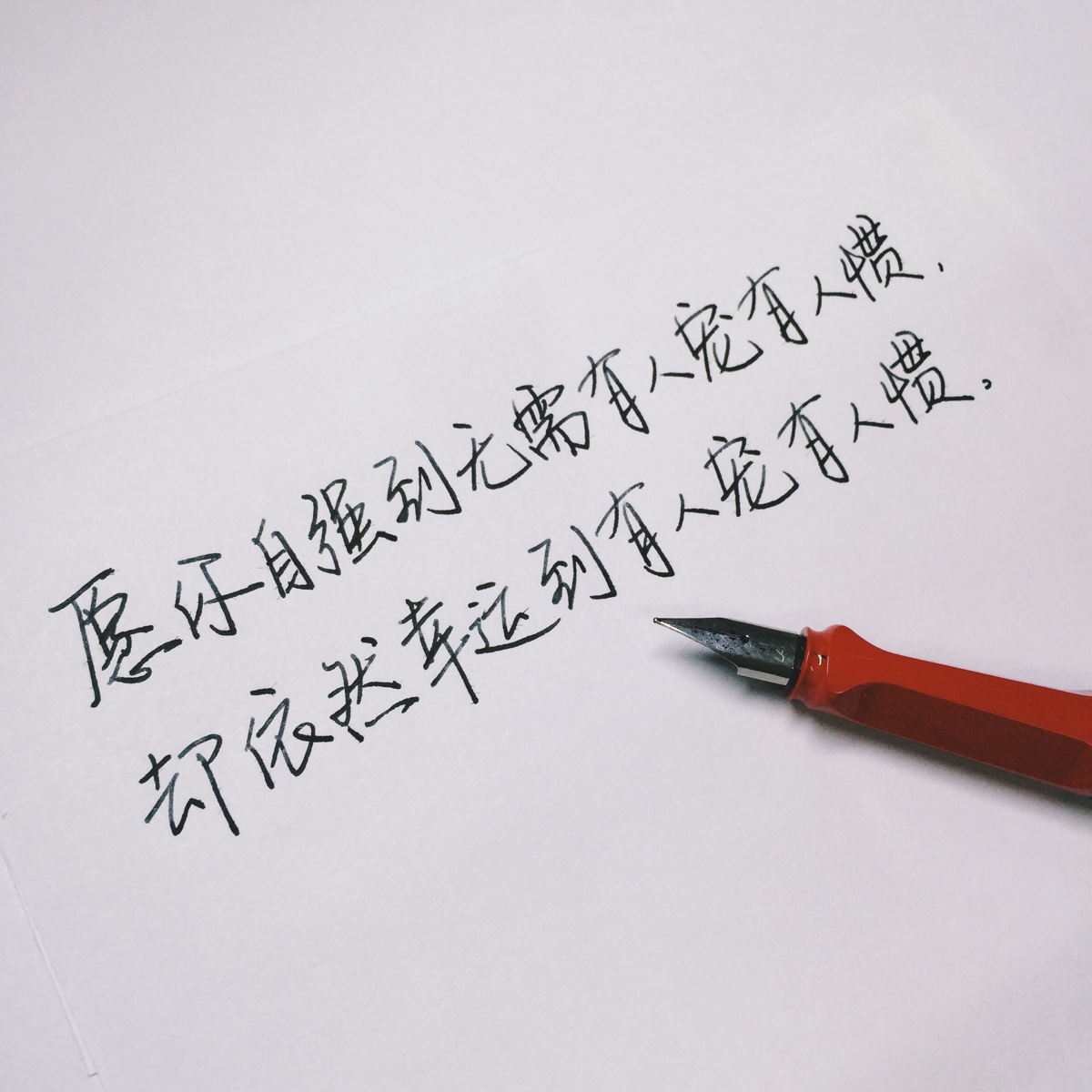 手写,句子,图片,语录,治愈系