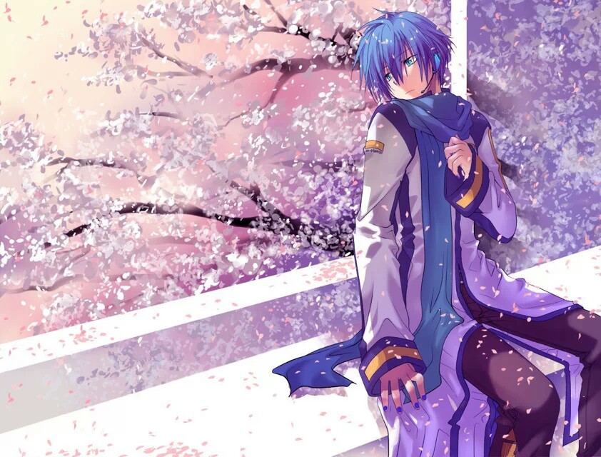 kaito