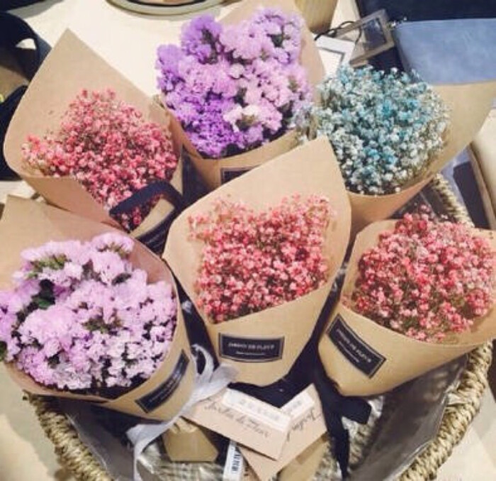 满天星又名丝石竹,霞草,锥花丝石竹,圆锥石头花,宿根满天星,锥花霞草.