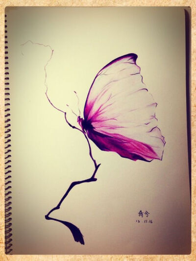彩铅画 紫色 蝴蝶 漂亮